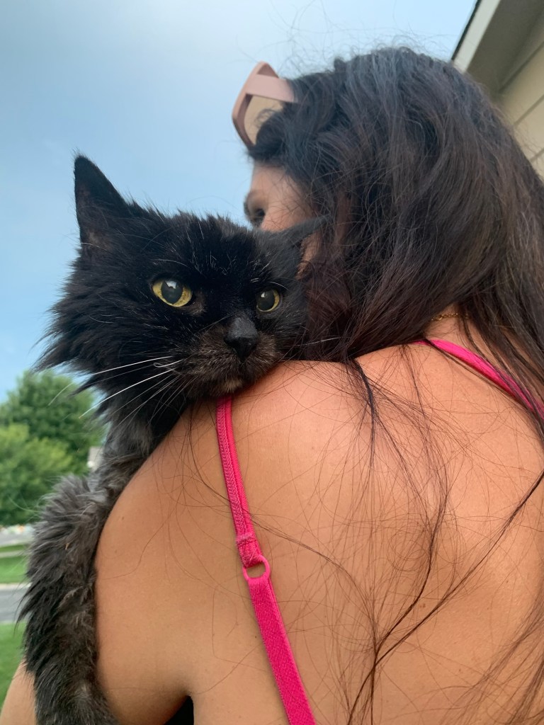 Midnight, a black cat, looking over the shoulder of her owner, Maria.