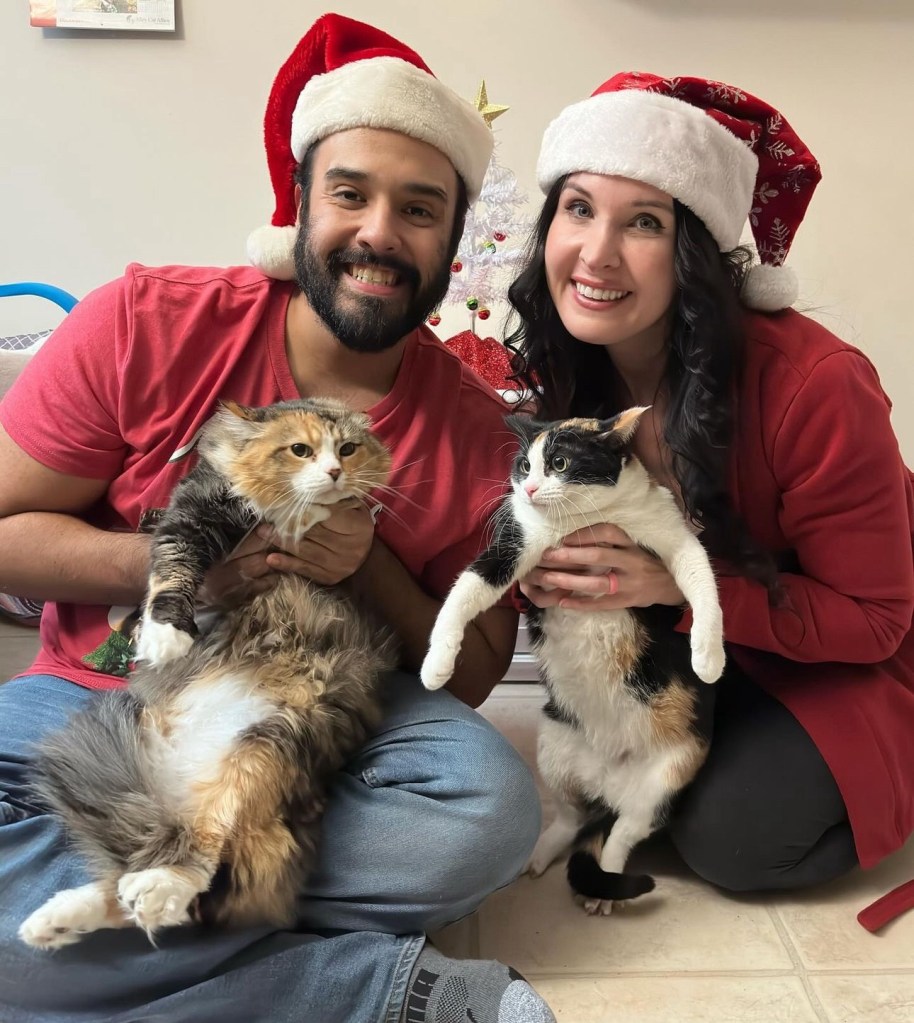Zach (left - cat owner), Maria (right - cat owner) holding their two cats, Gabby, a long haired calico cat, and Tot, a short haired calico cat.